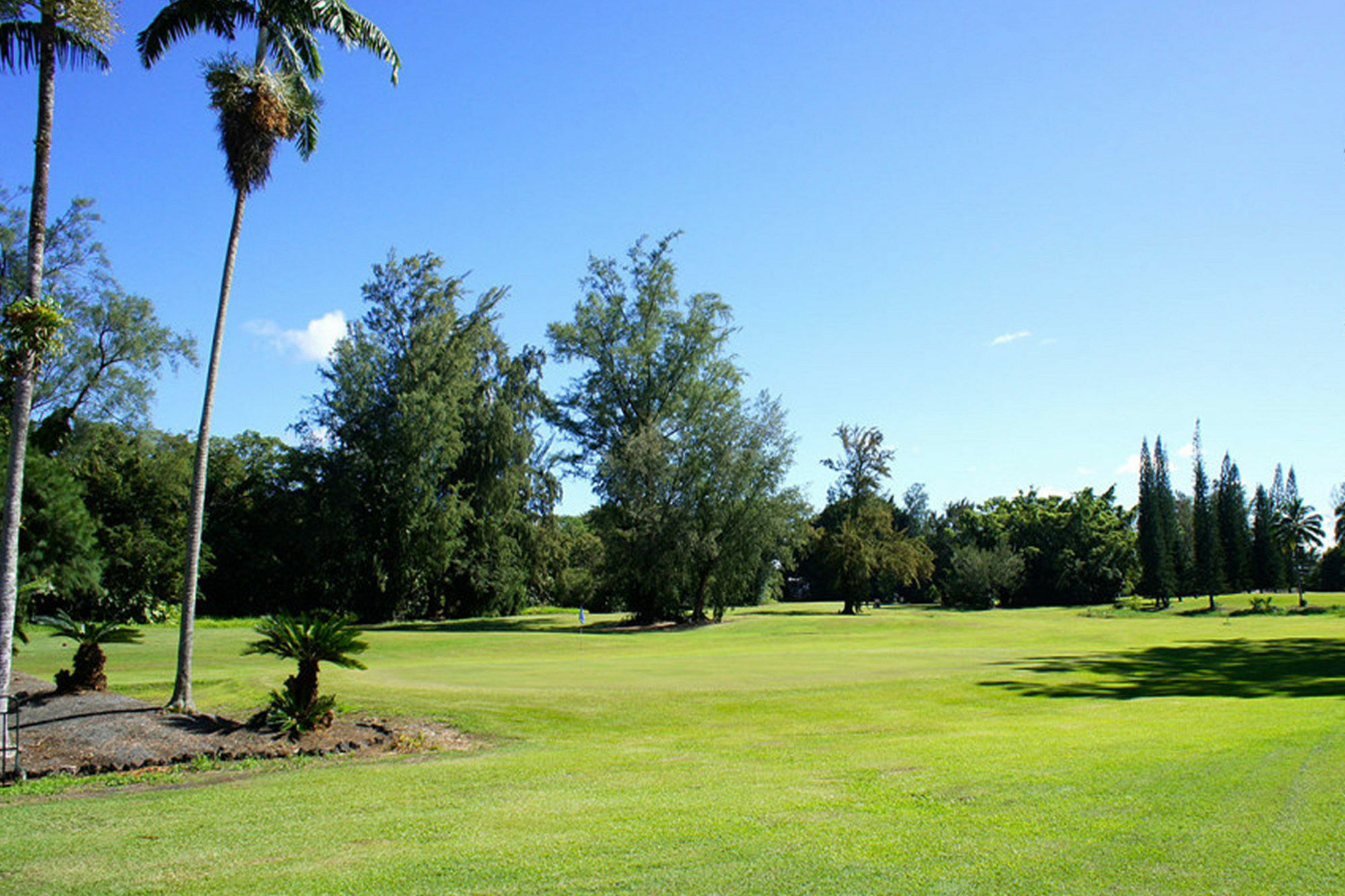 Grand Naniloa Hotel, A Doubletree By Hilton Hilo Zewnętrze zdjęcie